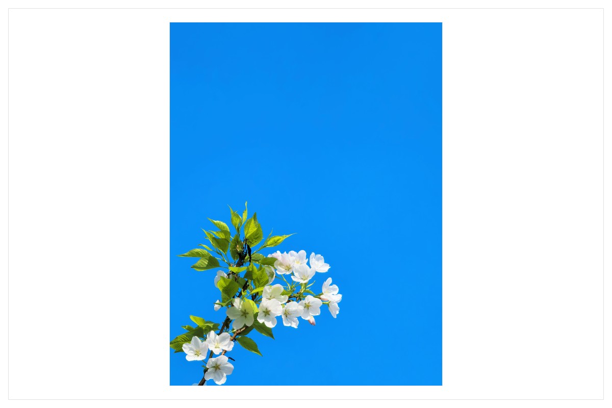 展示照片