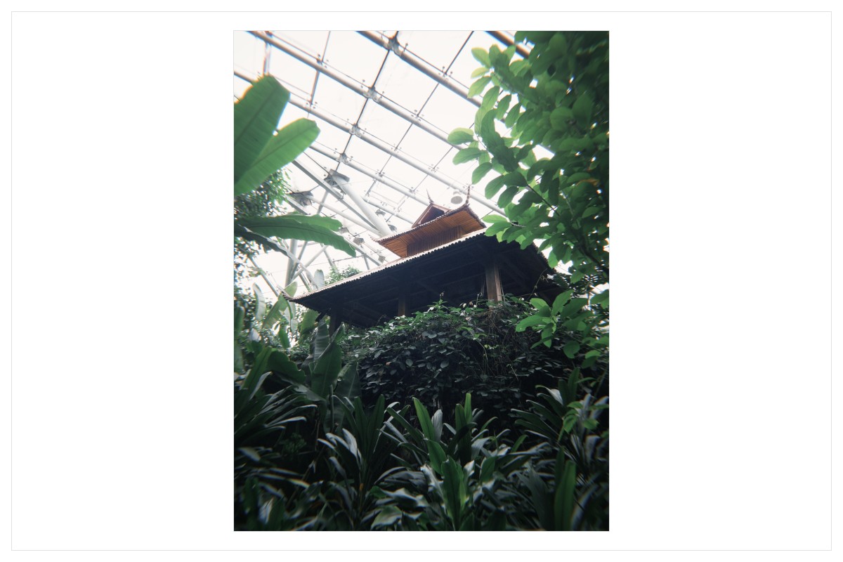 展示照片